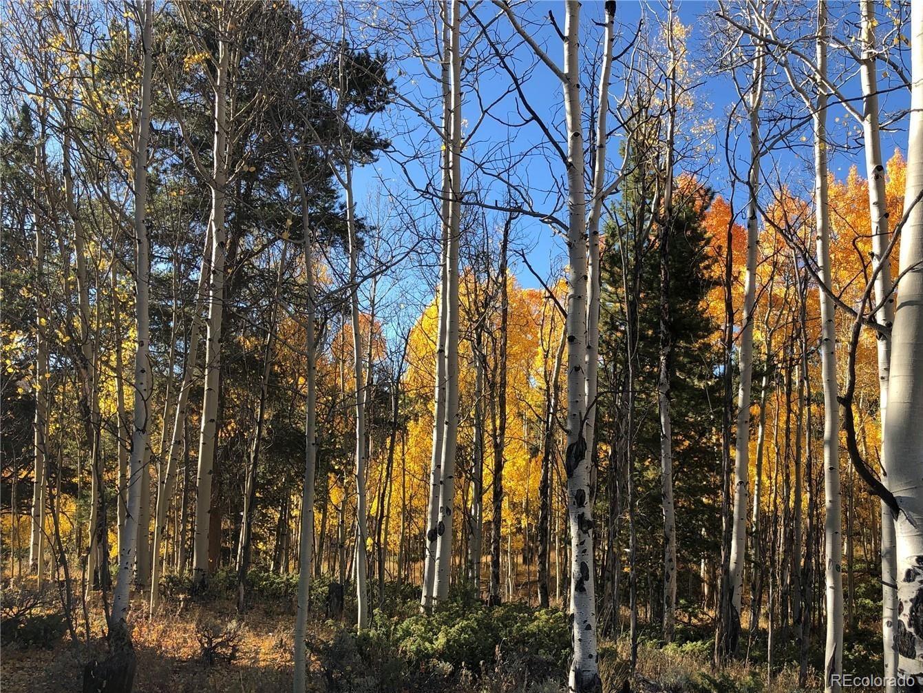 255 Antelope Road Leadville, CO 80461 - Photo 1 of 6 Gallery Image 1