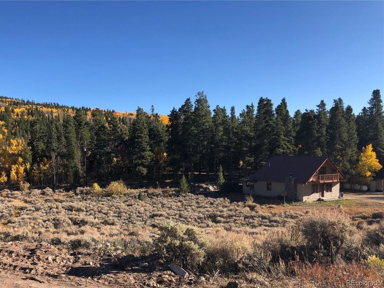 255 Antelope Road Leadville, CO 80461 - Photo 4 of 6 Gallery Image 4