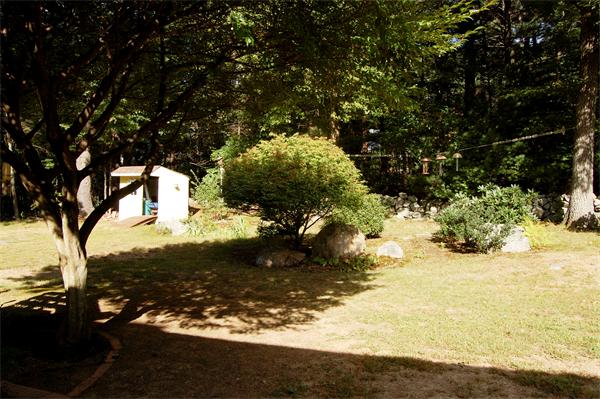 190 Boston Street Middleton, MA 01949 - Photo 23 of 25 a view of a tree with a yard