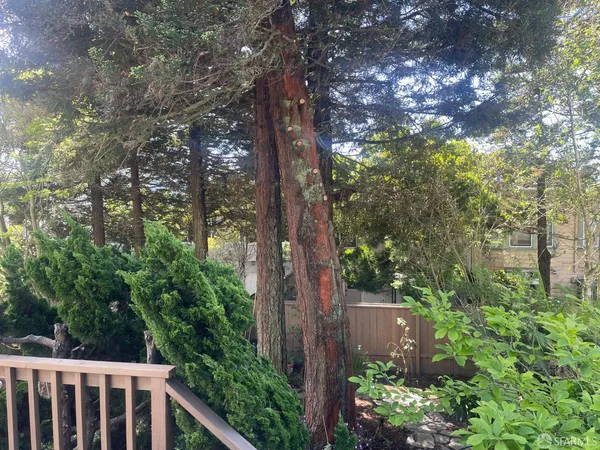 a view of a yard