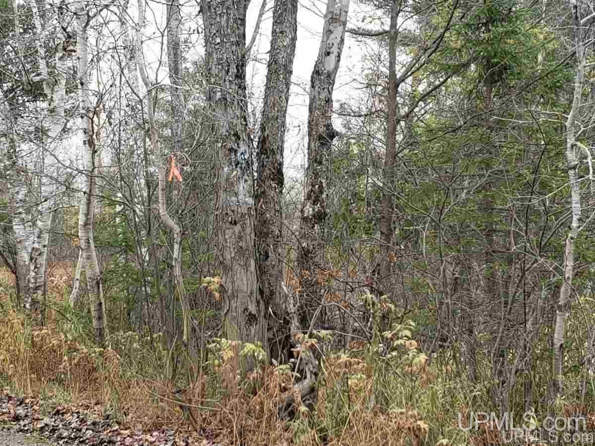 426 Ralph Mi 49877 Felch, MI 49831 - Photo 3 of 3