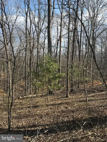 $15,000 | Arrowhead Road, Front Royal, VA 22630