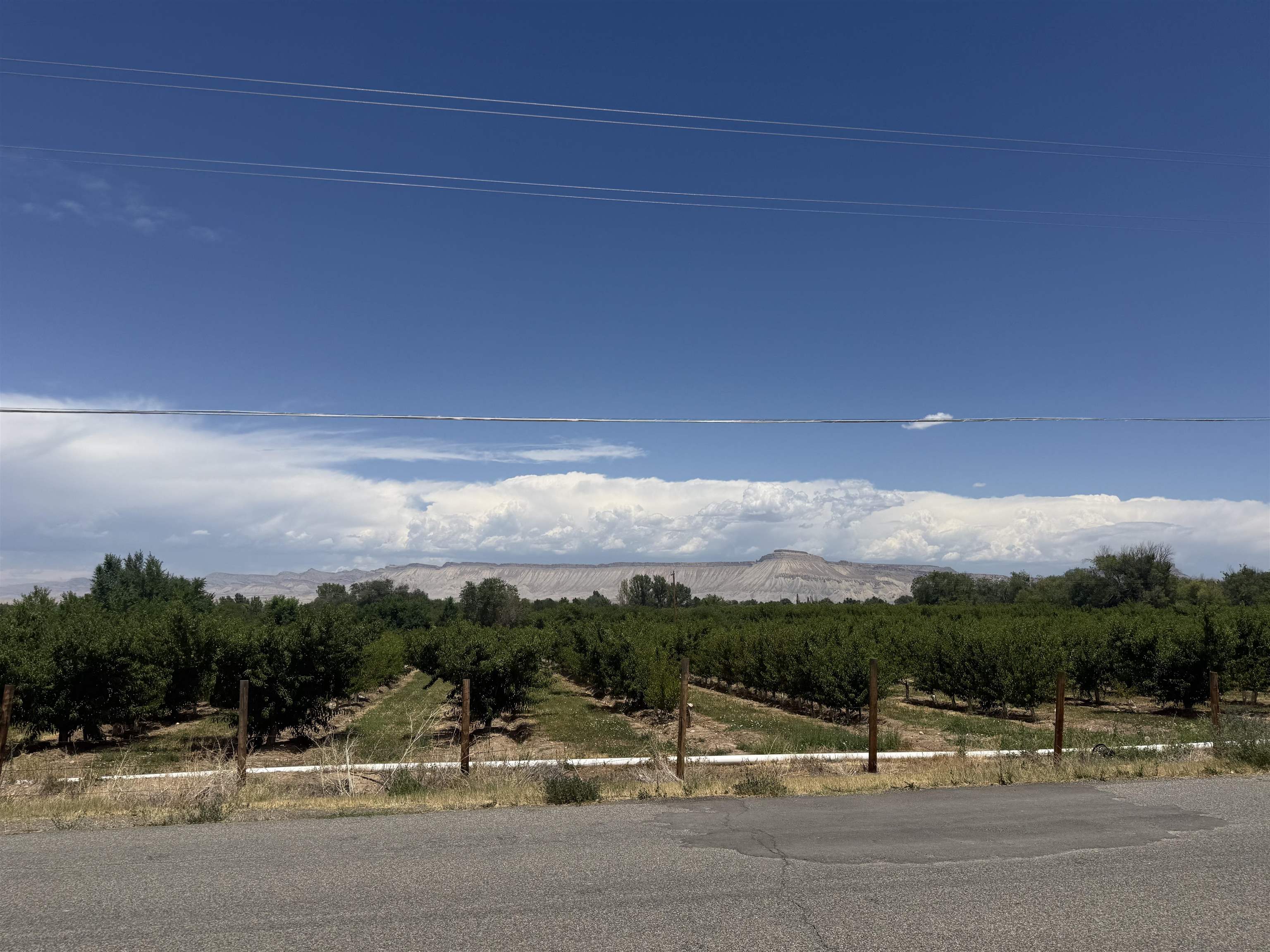 3255 B B 1/2 Road Grand Junction, CO 81503 - Photo 3 of 4