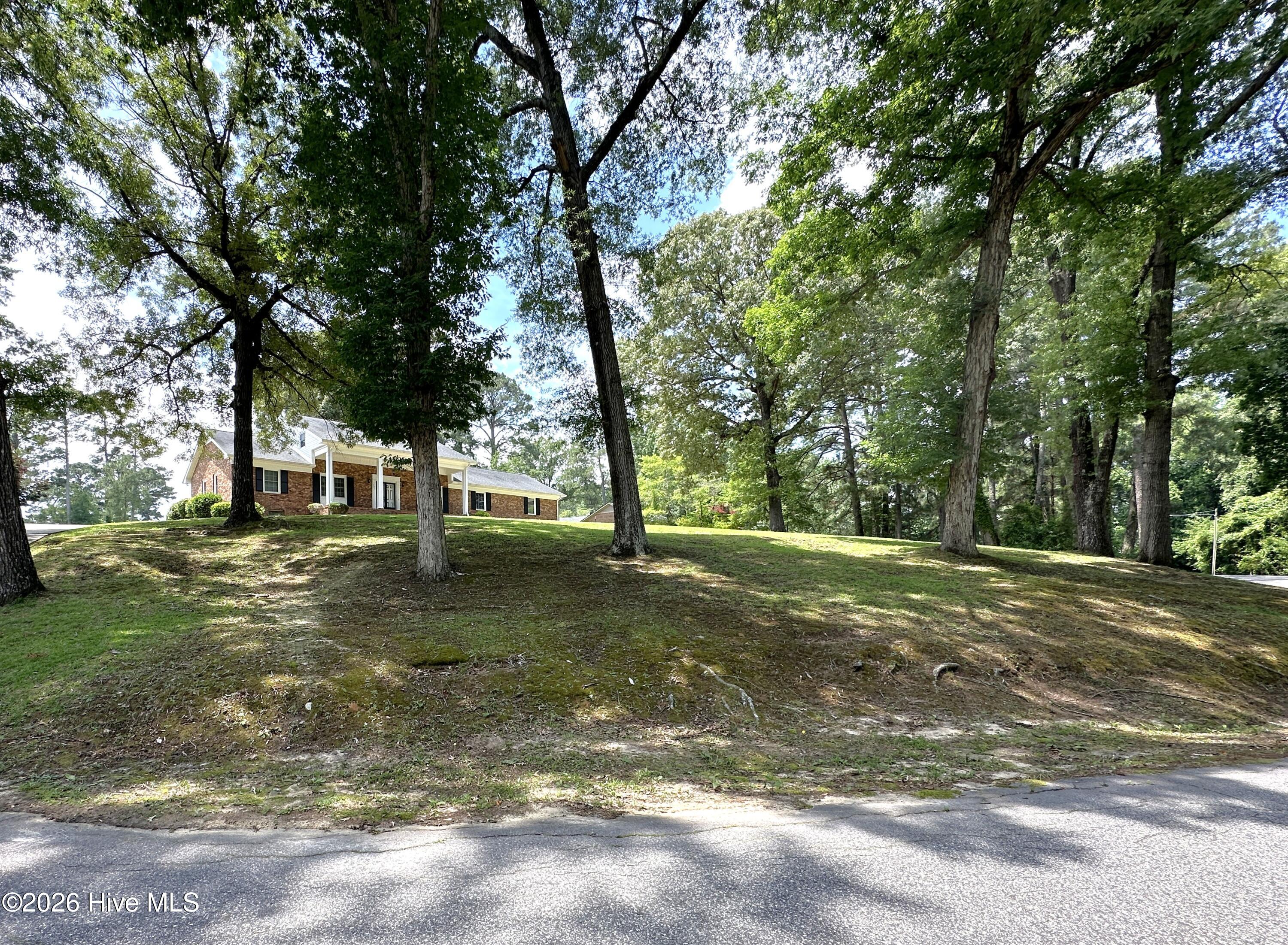 504 Pineview Road Clinton, NC 28328 - Photo 8 of 30 View from Pineview Dr.