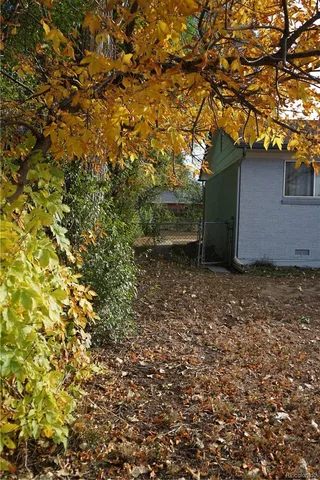 a backyard of a house with lots of plants and large trees