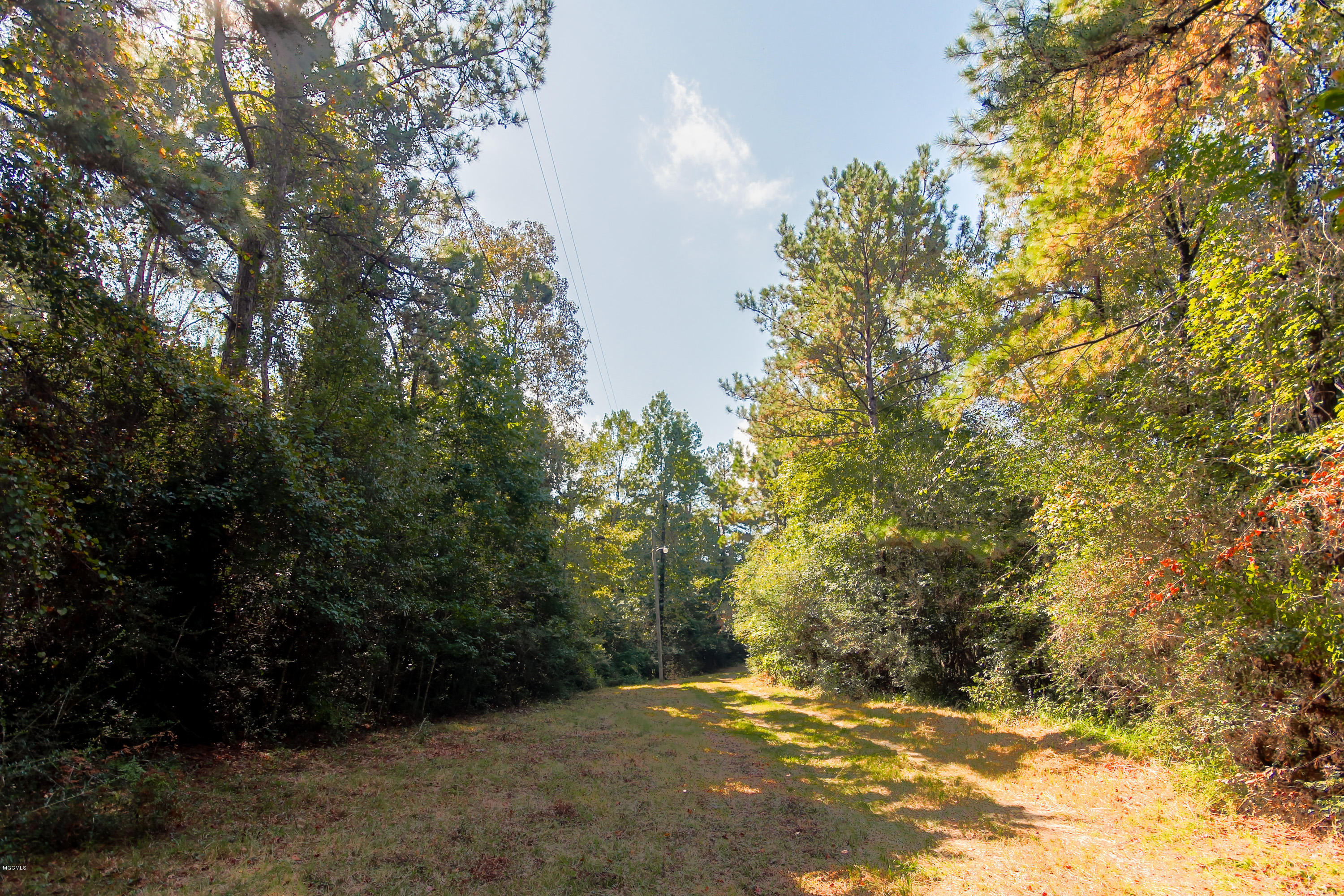 275 King Bee Road Wiggins, MS 39577 - Photo 3 of 42 Land in front