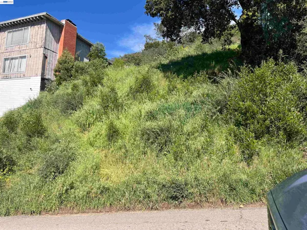 a view of a yard with plants