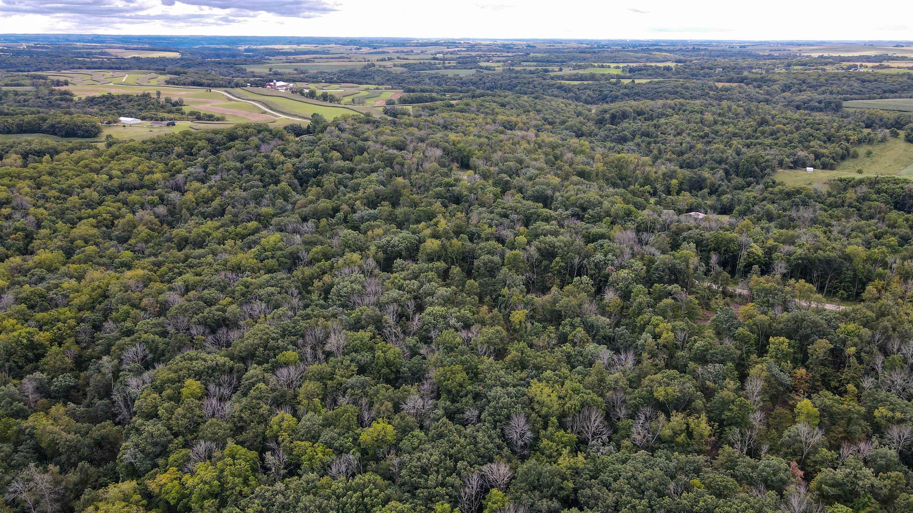 2222 County Road Y Mineral Point, WI 53565 - Photo 11 of 13