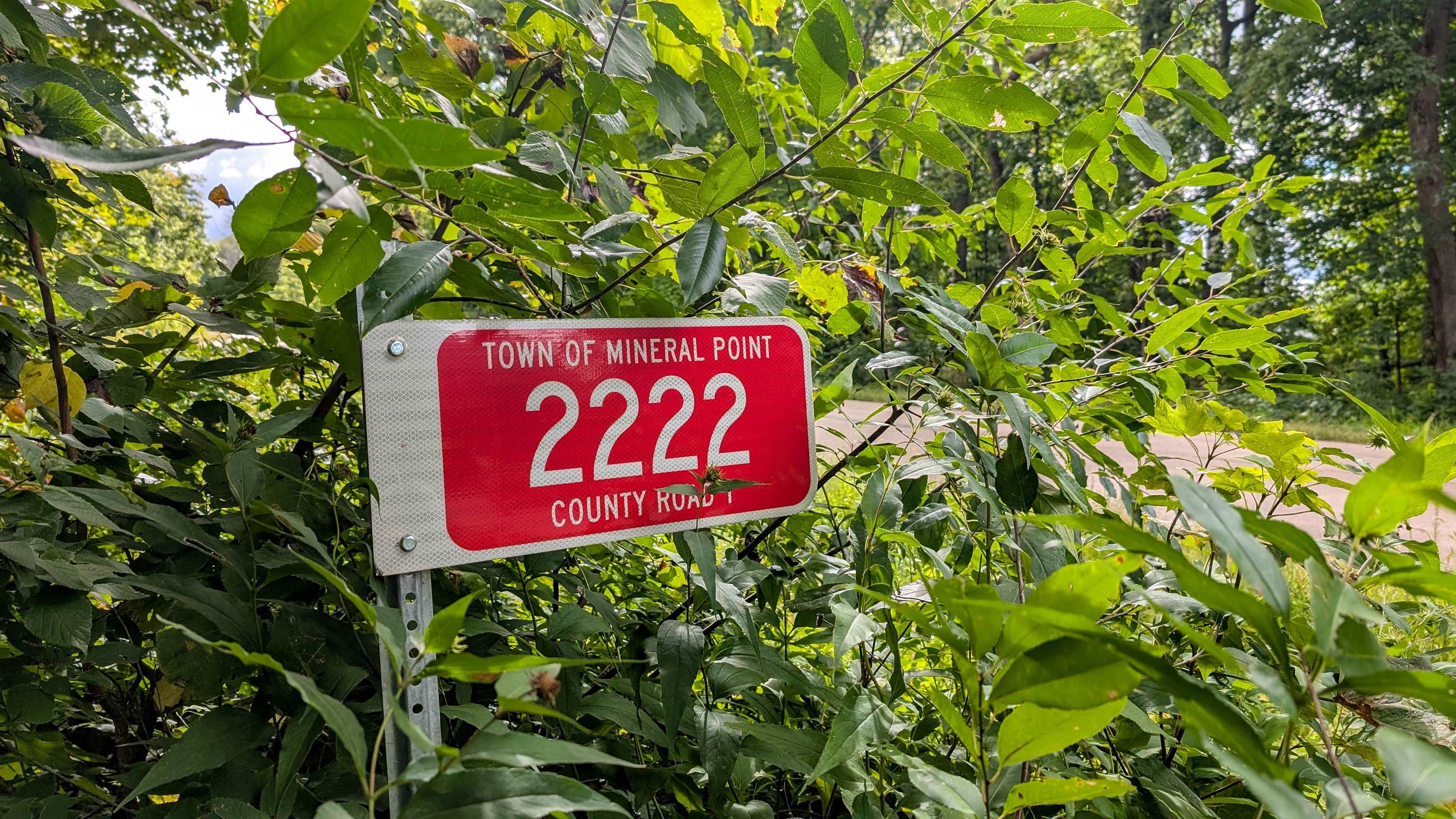 2222 County Road Y Mineral Point, WI 53565 - Photo 2 of 13