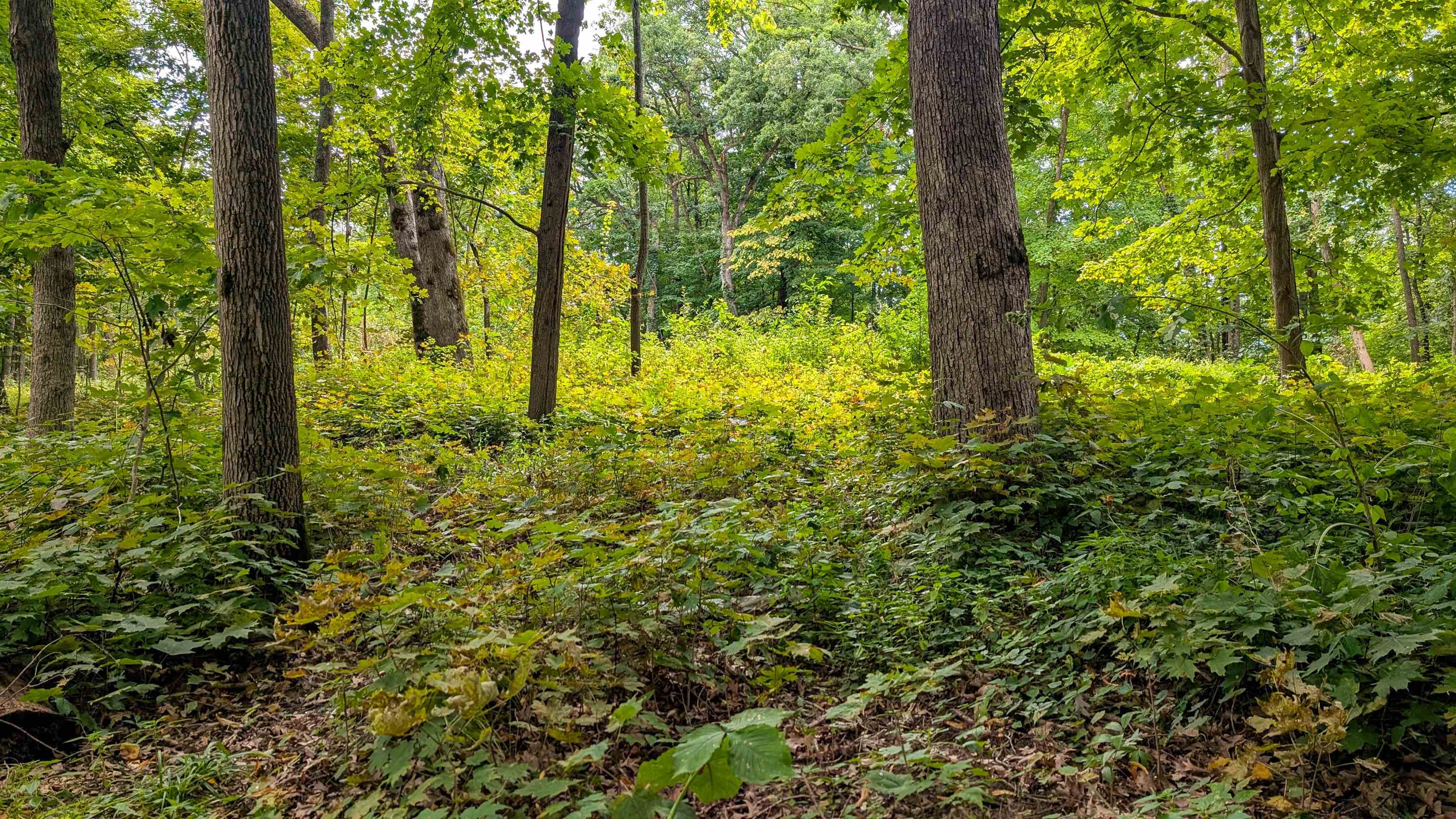 2222 County Road Y Mineral Point, WI 53565 - Photo 6 of 13