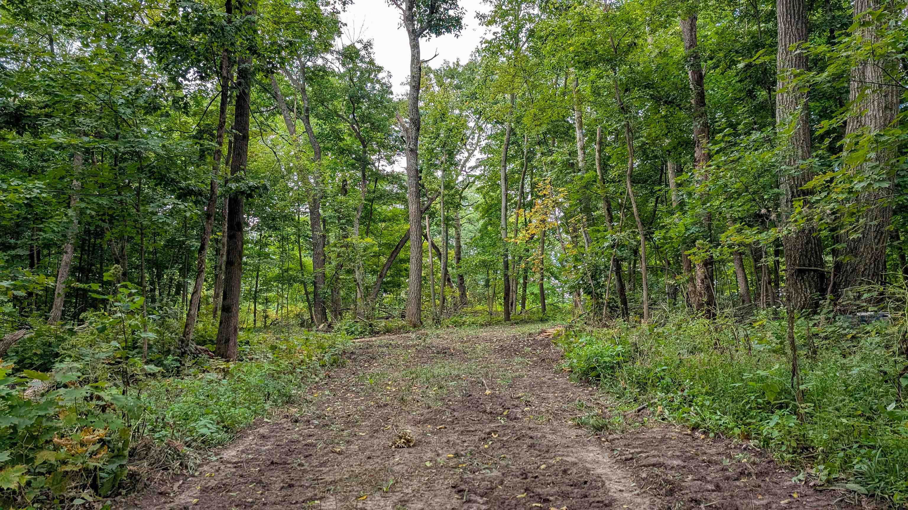 2222 County Road Y Mineral Point, WI 53565 - Photo 7 of 13