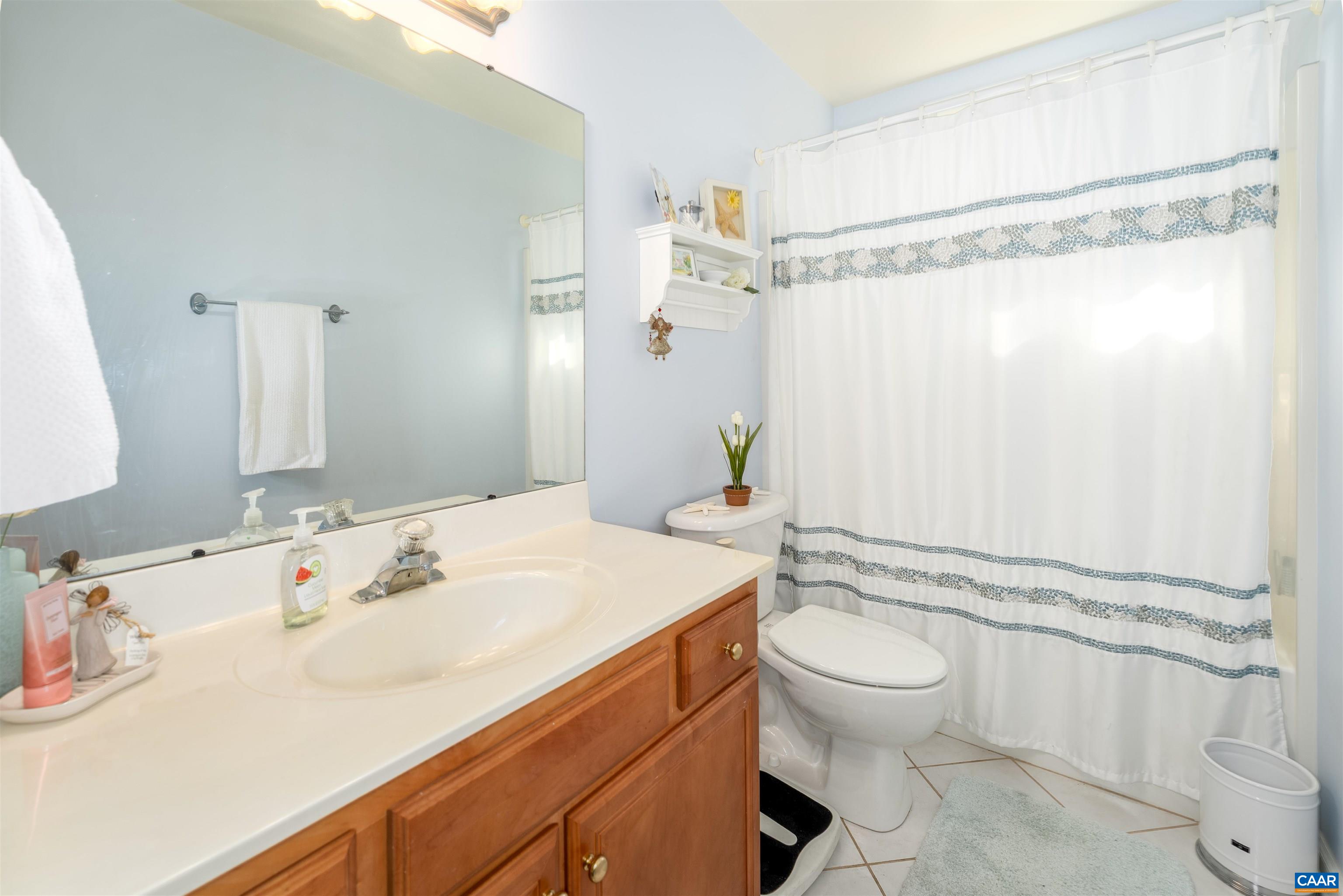 3 Brougham Road Palmyra, VA 22963 - Photo 39 of 45