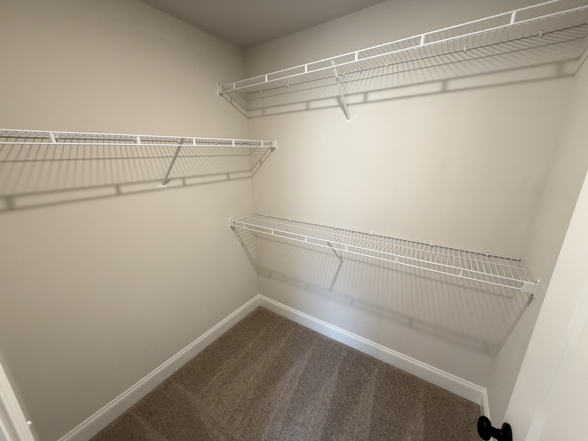 147 Emeline Way Mount Juliet, TN 37122 - Photo 38 of 41 a view of a room with racks on the wall
