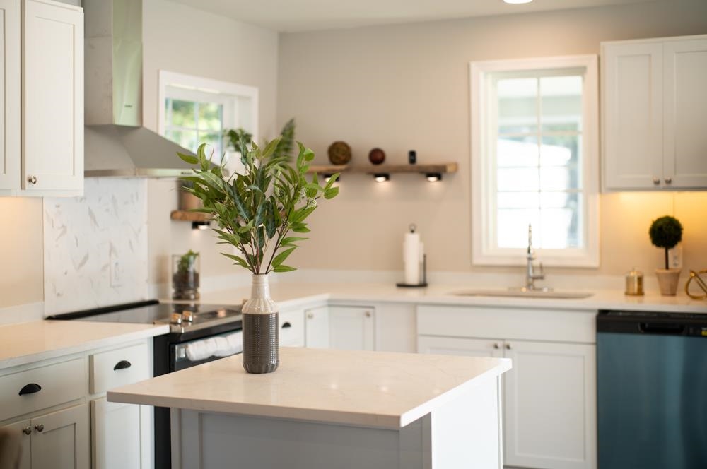 402 5th Street Shenandoah, VA 22849 - Photo 8 of 52 a kitchen with a sink a potted plant and a window