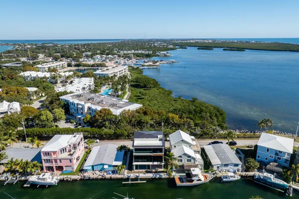 an aerial view of residential houses with outdoor space
