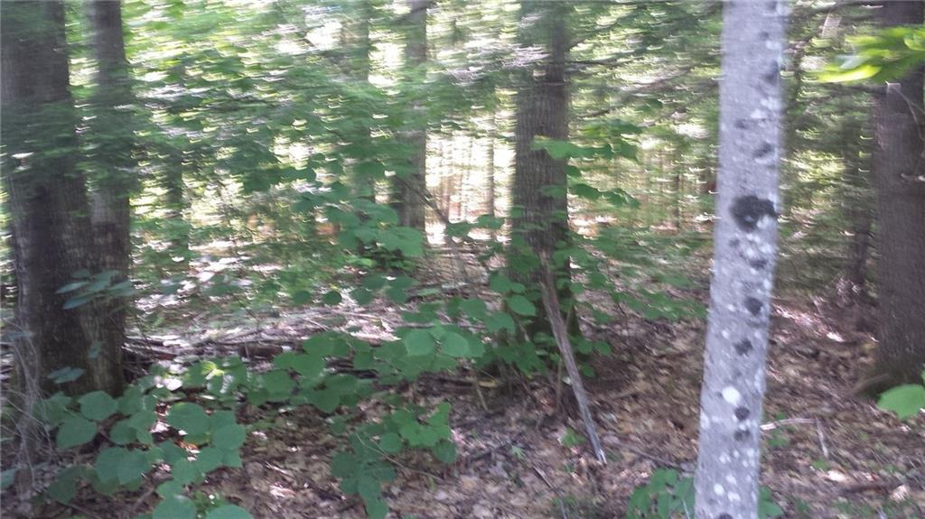 0 Sodom Road Buckfield, ME 04220 - Photo 11 of 27 Photo