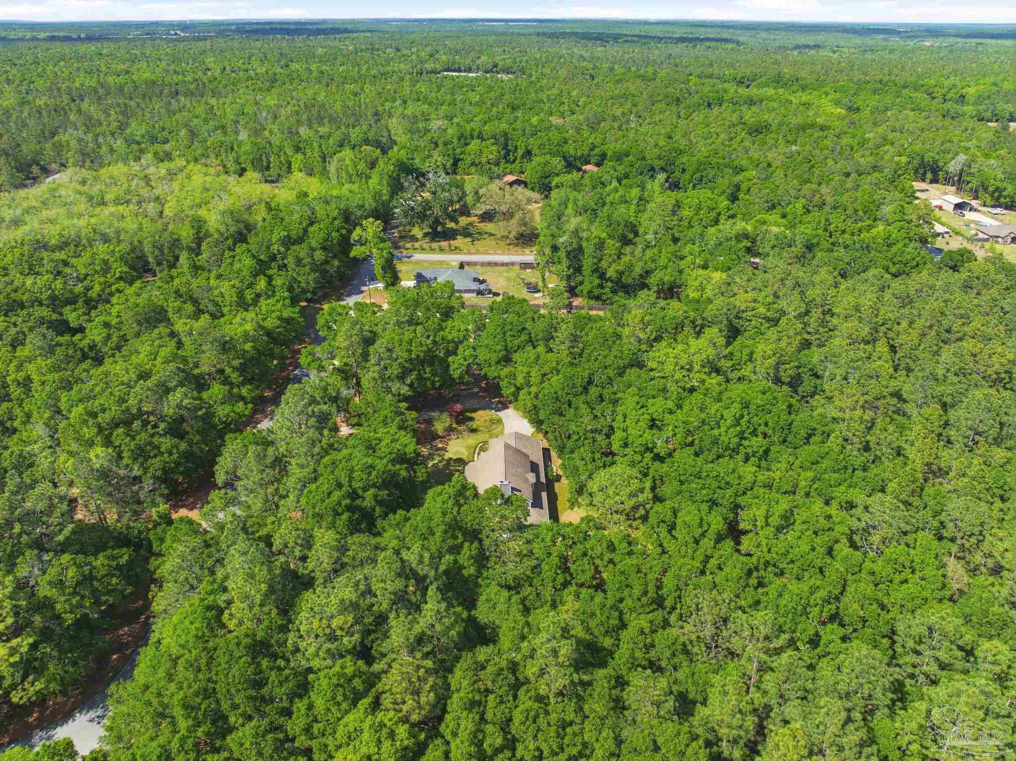 6930 Summit Way Milton, FL 32570 - Photo 66 of 71 a view of a big yard with potted plants and large tree