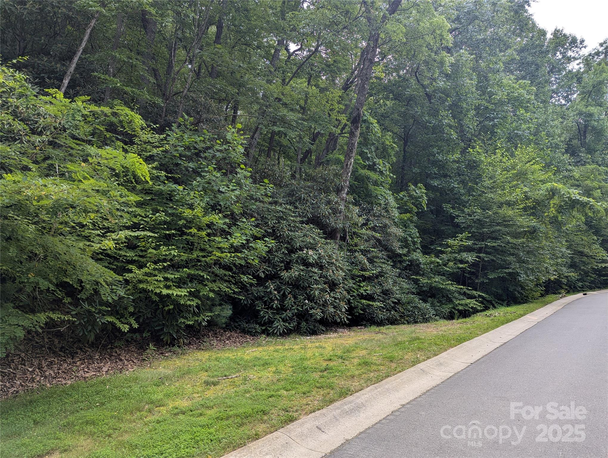 64 Settings Boulevard, Unit 252 Black Mountain, NC 28711 - Photo 2 of 4 a view of a back yard