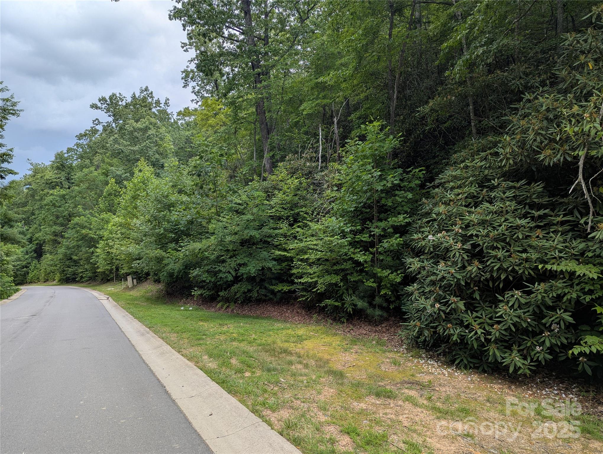 64 Settings Boulevard, Unit 252 Black Mountain, NC 28711 - Photo 3 of 4 a view of a back yard