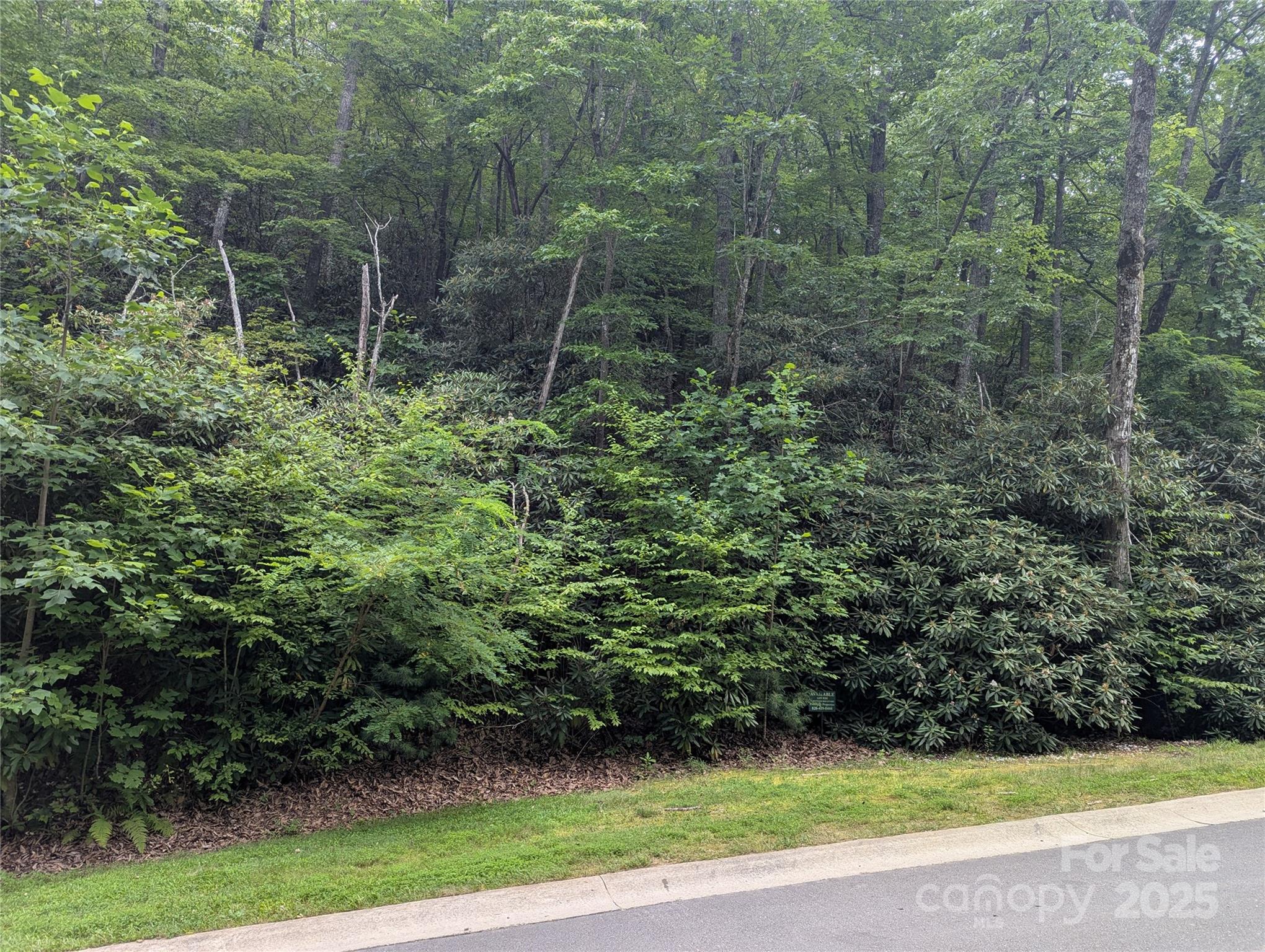 64 Settings Boulevard, Unit 252 Black Mountain, NC 28711 - Photo 4 of 4 a view of a yard with plants and large trees