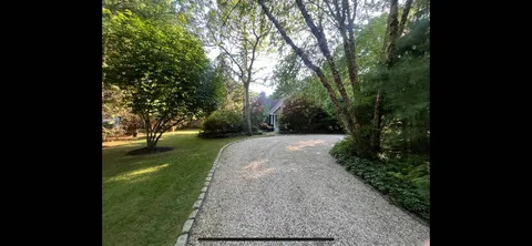 a view of a yard with plants and trees