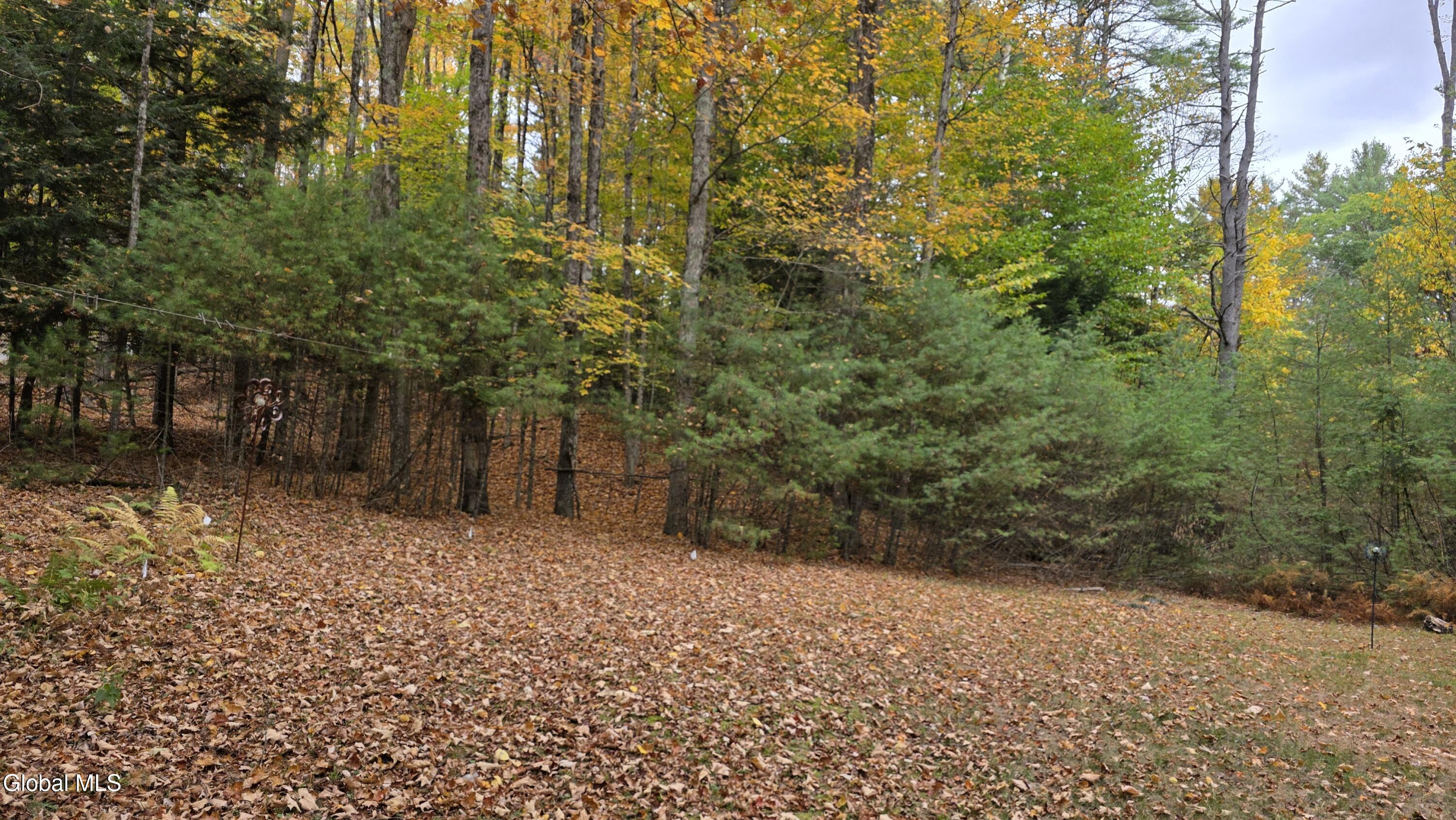 76 Stone Road Hadley, NY 12835 - Photo 15 of 17 20251007_122639