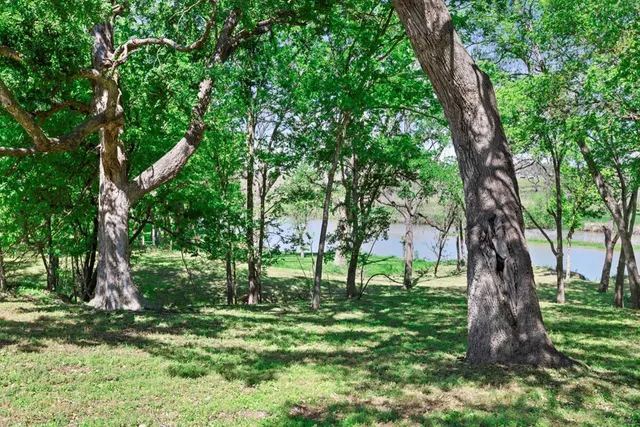 a view of a backyard with large trees