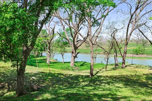 a view of backyard with green space