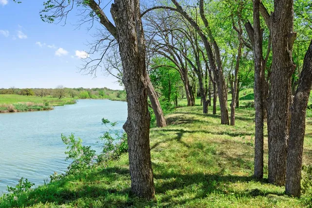 a view of a garden with trees