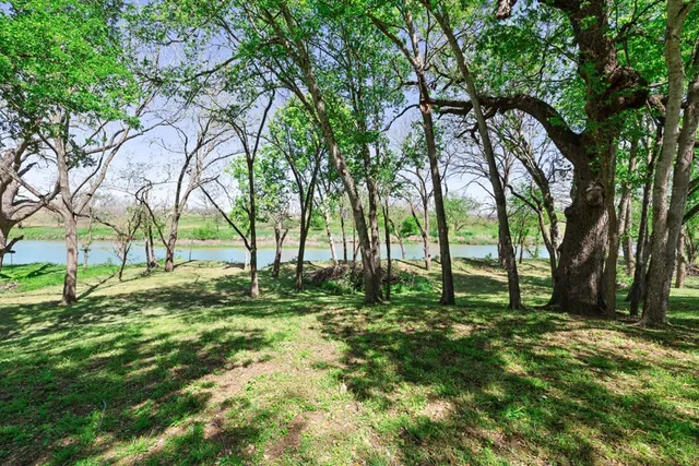 a view of backyard with tree