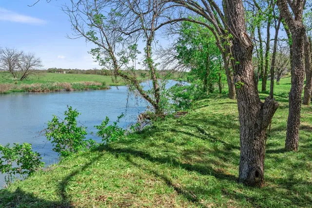 a view of a lake with a yard and large trees