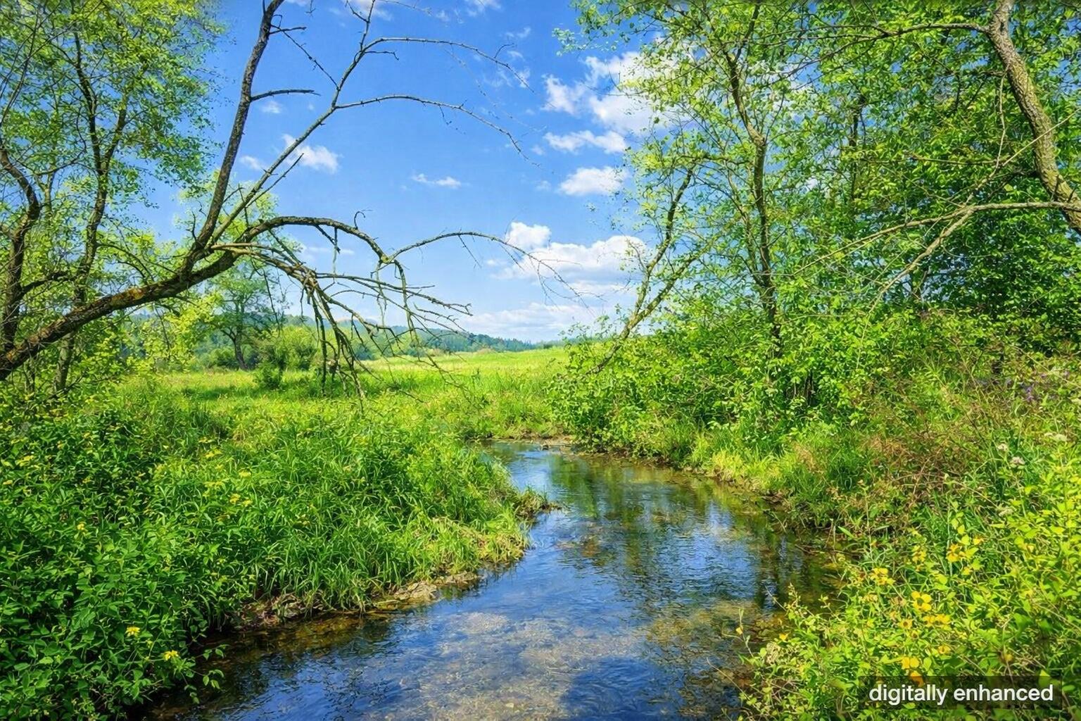 W5197 Green Tree Road Plymouth, WI 53073 - Photo 2 of 37 Certain images may contain digital enhancements, virtual staging, or altered elements for marketing purposes. Such images are illustrative only and do not represent exact current conditions of the property. Buyers should rely on their own inspections and due diligence