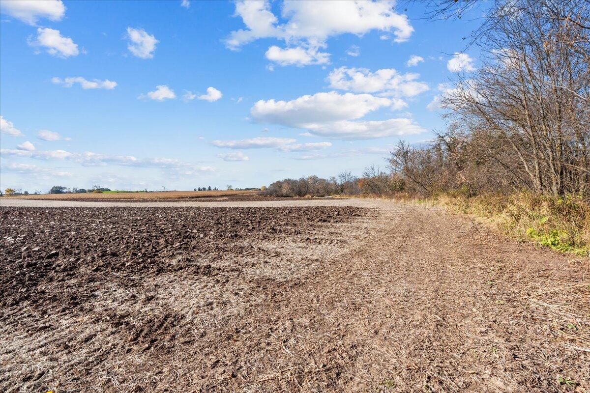W5197 Green Tree Road Plymouth, WI 53073 - Photo 30 of 37 W5197 Green Tree Rd Farmland