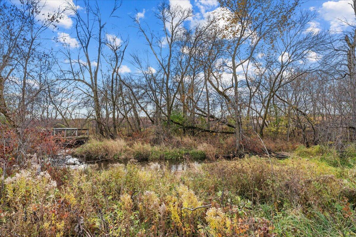 W5197 Green Tree Road Plymouth, WI 53073 - Photo 3 of 37 Views of Nature