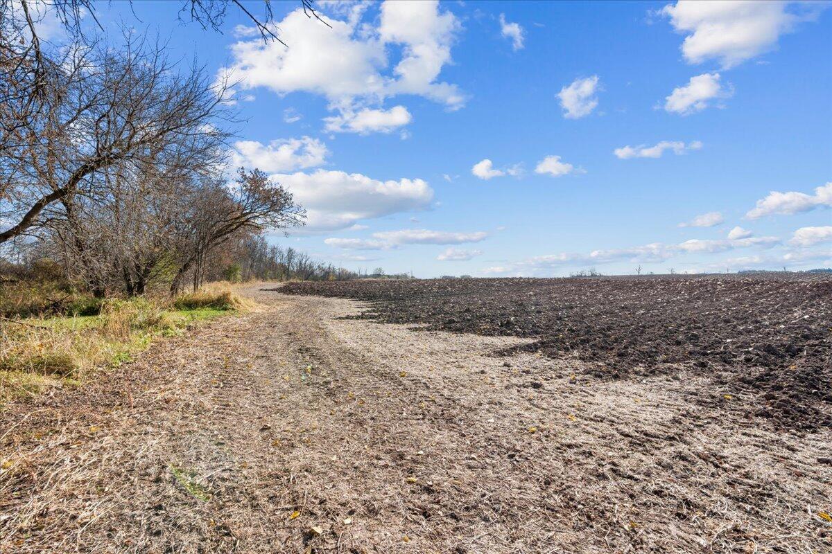 W5197 Green Tree Road Plymouth, WI 53073 - Photo 32 of 37 W5197 Green Tree Road Farmland and Treel
