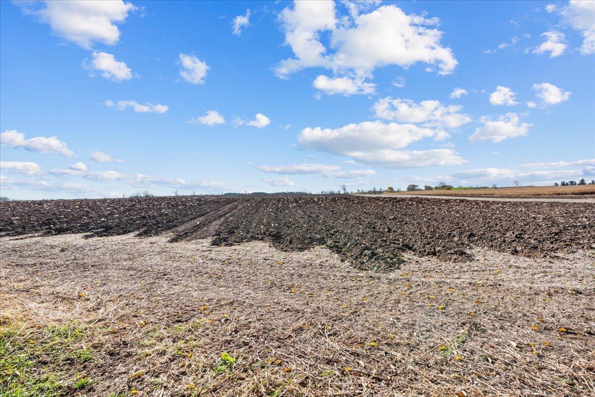 W5197 Green Tree Road Plymouth, WI 53073 - Photo 33 of 37 W5197 Green Tree Road Farmland