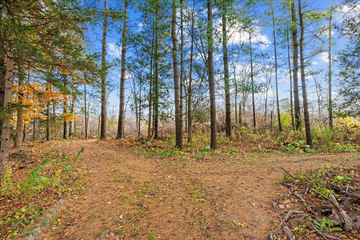 W5197 Green Tree Road Plymouth, WI 53073 - Photo 4 of 37 Absolutely Beautiful