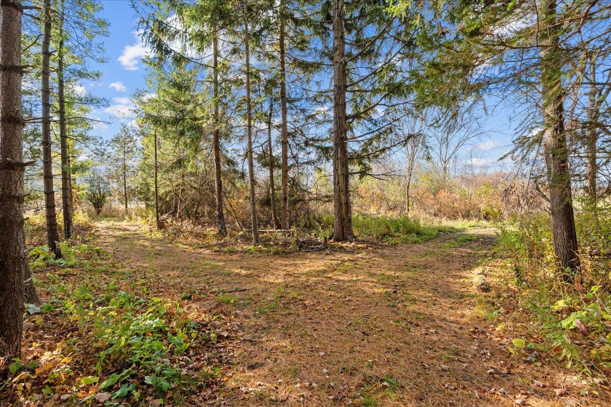 W5197 Green Tree Road Plymouth, WI 53073 - Photo 5 of 37 Woods and Trails