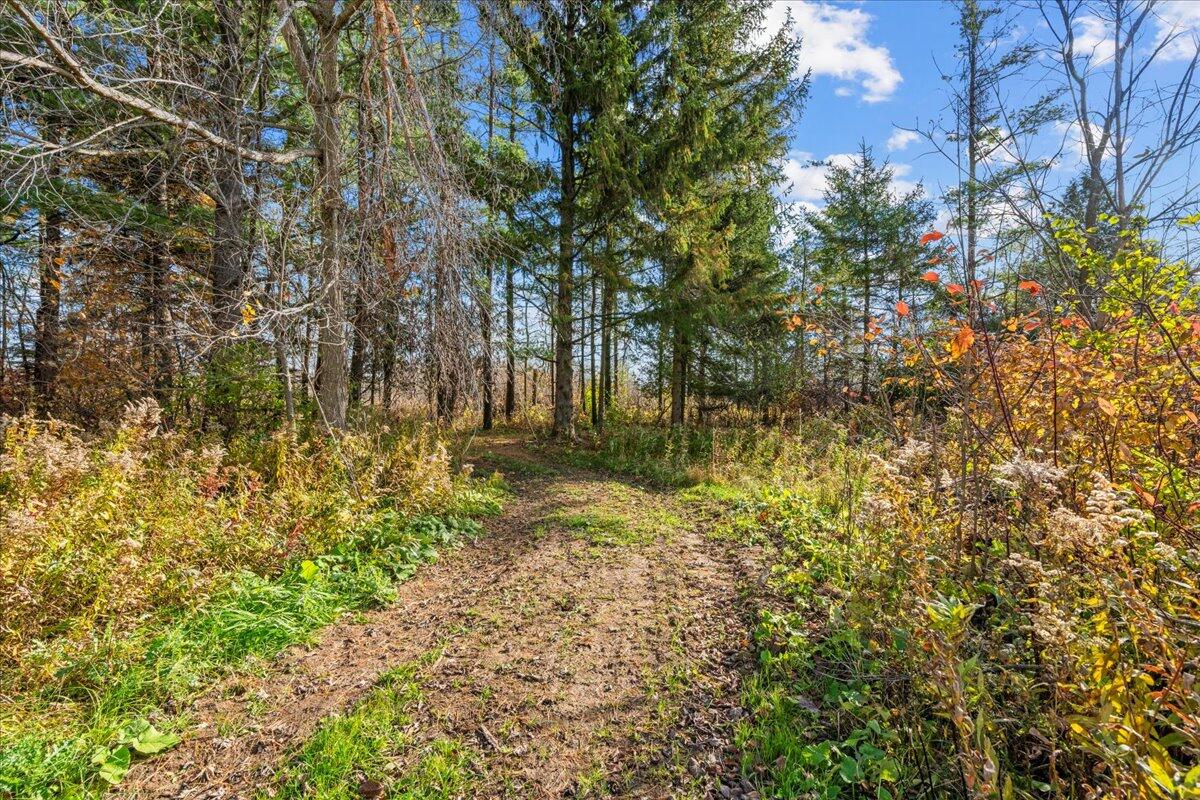 W5197 Green Tree Road Plymouth, WI 53073 - Photo 7 of 37 Trails and Woods
