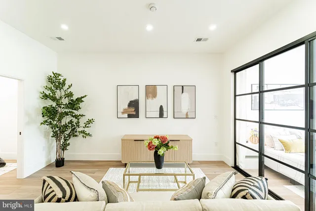 a living room with furniture and a potted plant