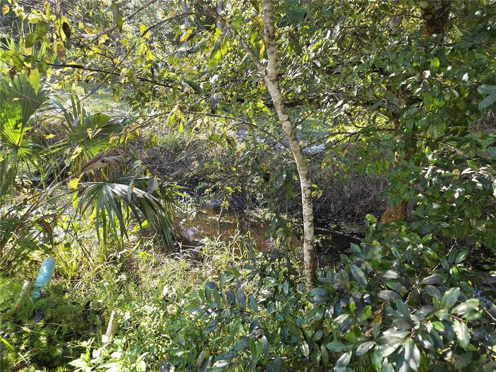 1601 Big Tree Road, Unit 901 Daytona Beach, FL 32119 - Photo 58 of 68 a view of a tree