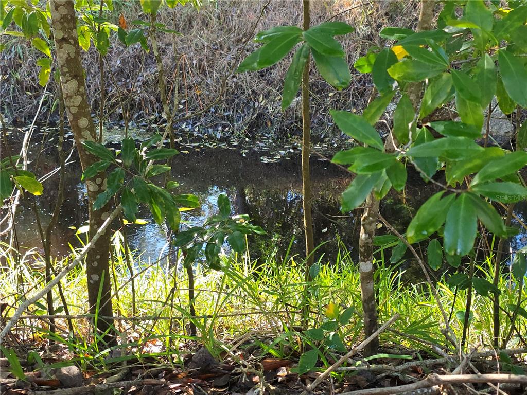 1601 Big Tree Road, Unit 901 Daytona Beach, FL 32119 - Photo 59 of 68 a backyard of a house with lots of green space