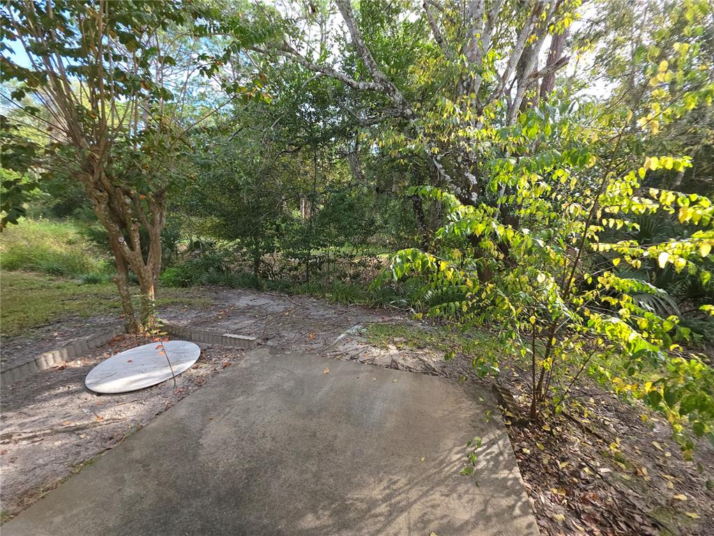 1601 Big Tree Road, Unit 901 Daytona Beach, FL 32119 - Photo 60 of 68 a view of a pathway with a tree