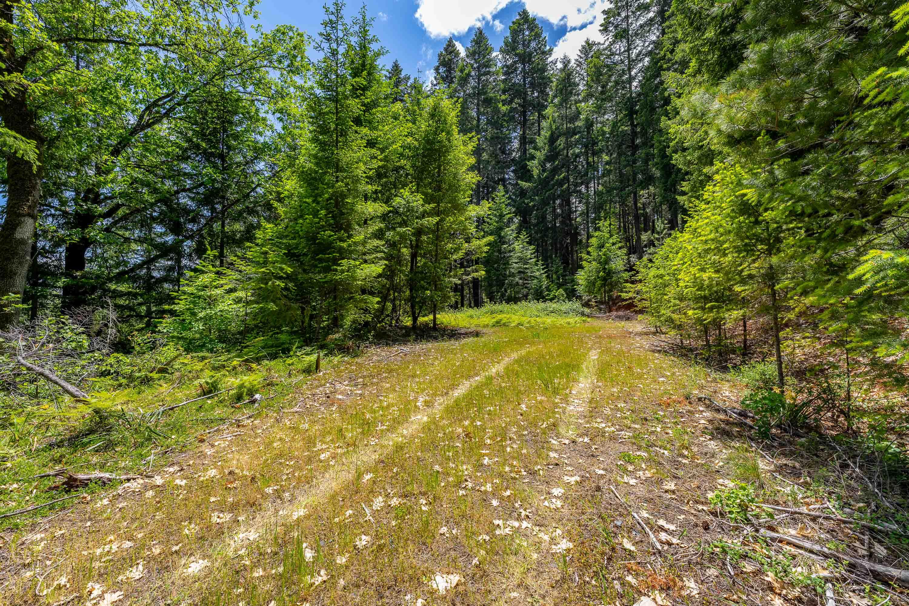 525 Sherier Road Cave Junction, OR 97523 - Photo 6 of 20 EXT (1 of 8)