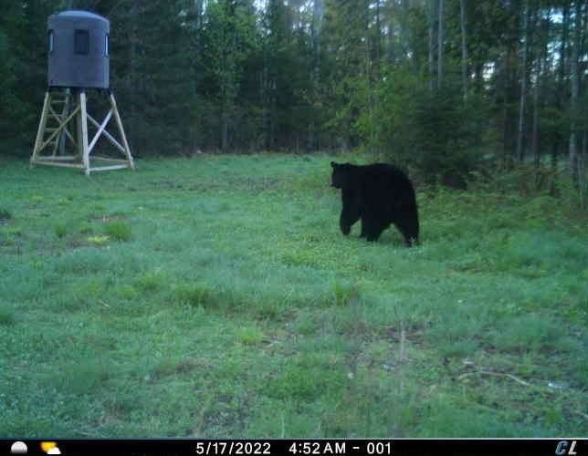 N8506 Swamp Road Tomahawk, WI 54487 - Photo 30 of 31 Gallery Image 30