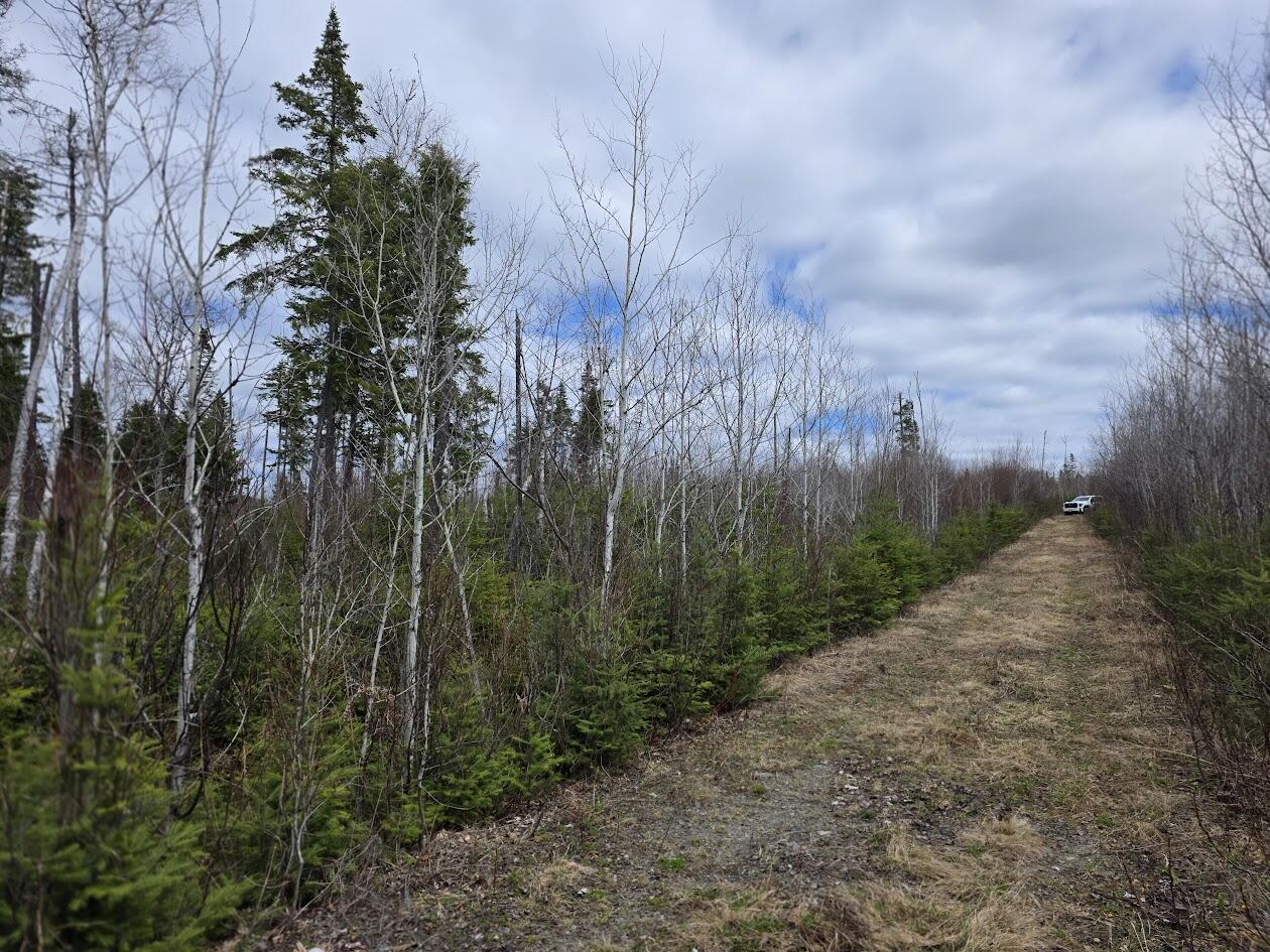 4 Gendreau Road Madawaska, ME 04773 - Photo 8 of 16