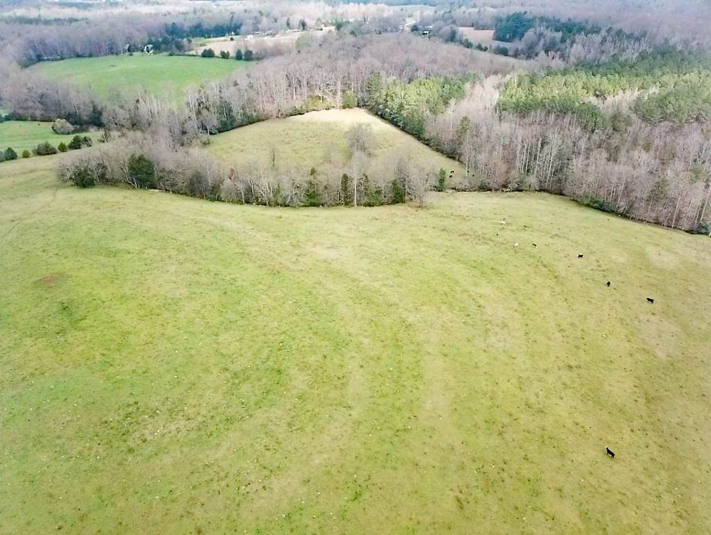 Lot 3 Westmoreland Road Woodruff, SC 29388 - Photo 1 of 5 Gallery Image 1