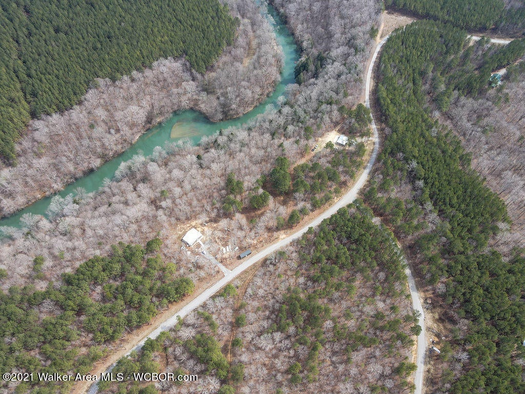 Lot#39 Turkey Bend Addison, AL 35540 - Photo 4 of 8 Gallery Image 4