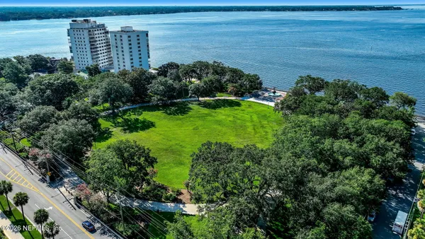 a green field with lots of bushes