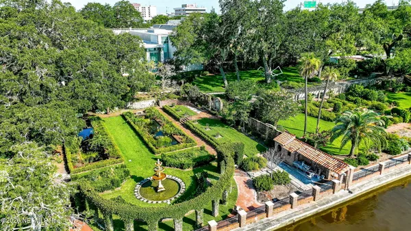 a view of a yard with plants